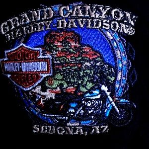 Harley Davidson skullcap